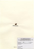 藏品(囊藻)的圖片